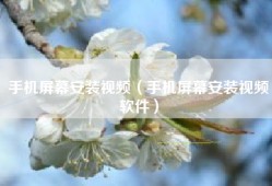手机屏幕安装视频（手机屏幕安装视频软件）