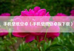 手机壁纸安卓（手机壁纸安卓版下载）