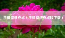 手机壁纸安卓（手机壁纸安卓版下载）