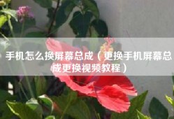 手机怎么换屏幕总成（更换手机屏幕总成更换视频教程）