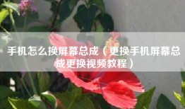 手机怎么换屏幕总成（更换手机屏幕总成更换视频教程）