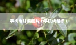 手机电路板图片（手机线路板）