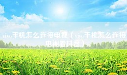 vivo手机怎么连接电视（vivo手机怎么连接电视看抖音）