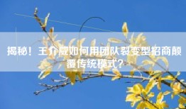 揭秘！王介威如何用团队裂变型招商颠覆传统模式？