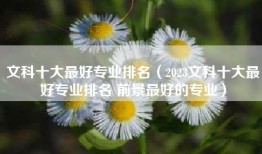 文科十大最好专业排名（2023文科十大最好专业排名 前景最好的专业）
