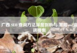 广西 SEO 查询方法深度剖析与(黑帽seo)资讯搜集