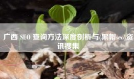 广西 SEO 查询方法深度剖析与(黑帽seo)资讯搜集