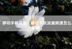 移动手机流量（移动手机流量限速怎么解除）