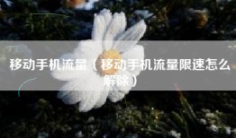 移动手机流量（移动手机流量限速怎么解除）