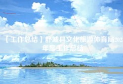 【工作总结】舒城县文化旅游体育局2023年度工作总结