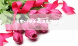 搜索引擎关键词指数排行！