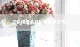 加快推进金融机构数字化转型