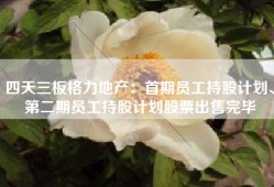 四天三板格力地产：首期员工持股计划、第二期员工持股计划股票出售完毕