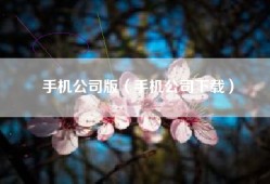 手机公司版（手机公司下载）