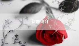 伏羲简介