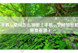 手机qq空间怎么加密（手机qq空间加密相册查看器）