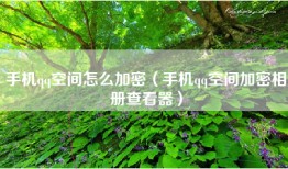 手机qq空间怎么加密（手机qq空间加密相册查看器）