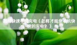 怎样快速手机充电(怎样才能使手机快速的充电?)