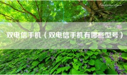 双电信手机（双电信手机有哪些型号）