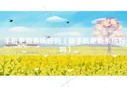 手机更新系统好吗（新手机更新系统好吗）
