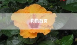 和讯首页