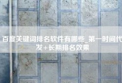 百度关键词排名软件有哪些_第一时间代发+长期排名效果