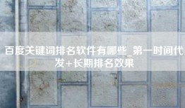 百度关键词排名软件有哪些_第一时间代发+长期排名效果
