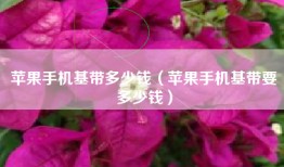 苹果手机基带多少钱（苹果手机基带要多少钱）