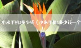 小米手机5多少钱（小米手机5多少钱一个）