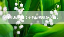 手机店刷机（手机店刷机多少钱）