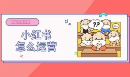 小红书广告投放实战技巧