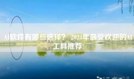 AI软件有哪些选择？ 2024年最受欢迎的AI工具推荐!
