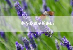 冬至吃饺子的来历