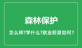 森林保护专业怎么样_森林保护专业就业方向及前景分析