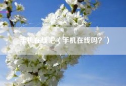 手机在线吧（手机在线吗？）