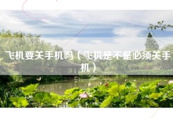 飞机要关手机吗（飞机是不是必须关手机）