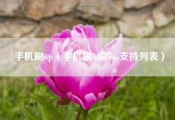手机刷wp（手机刷windows支持列表）