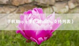手机刷wp（手机刷windows支持列表）