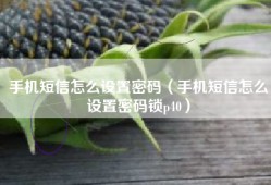 手机短信怎么设置密码（手机短信怎么设置密码锁p40）