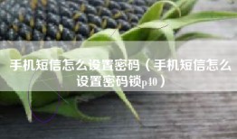 手机短信怎么设置密码（手机短信怎么设置密码锁p40）