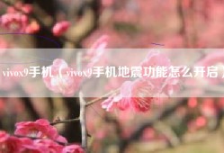 vivox9手机（vivox9手机地震功能怎么开启）
