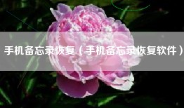 手机备忘录恢复（手机备忘录恢复软件）