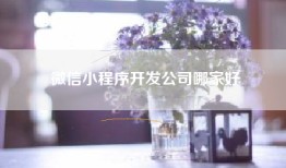 微信小程序开发公司哪家好