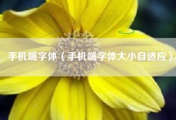 手机端字体（手机端字体大小自适应）
