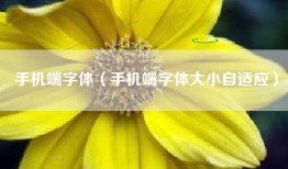 手机端字体（手机端字体大小自适应）