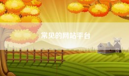 常见的网站平台