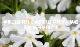手机屏幕裂开（手机屏幕裂开了一条缝影响后来使用吗）