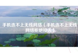 手机连不上无线网络（手机连不上无线网络拒绝接入）
