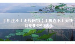手机连不上无线网络（手机连不上无线网络拒绝接入）