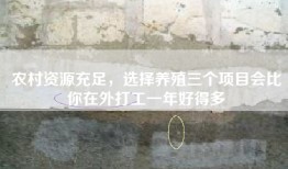 农村资源充足，选择养殖三个项目会比你在外打工一年好得多